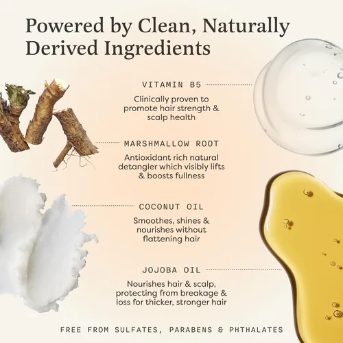 Vista 3 de The Earthling Co. Barra de champú - Promueve el crecimiento del cabello, fortalece y da volumen a todo tipo de cabello, fórmula sin parabenos ni