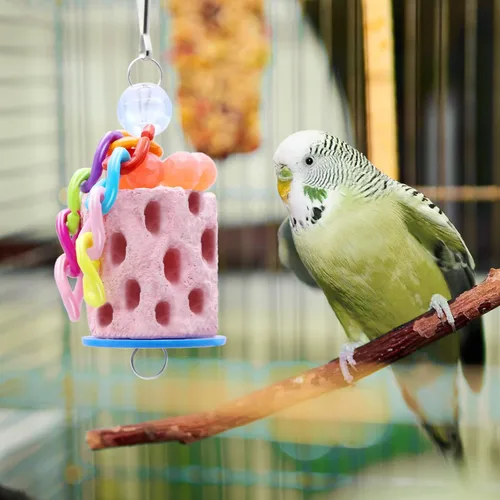 Vista 6 de Wontee Pico de pájaro molienda periquito golosinas aves calcio masticar juguete para periquitos periquitos cacatúa conure hámster (color aleatorio)