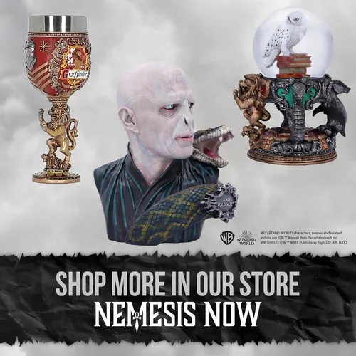 Vista 7 de Nemesis Now Copa de Harry Potter, cáliz coleccionable de Harry Potter pintado a mano, taza de Wrold mágico, regalo ideal para cabezas de cerámica