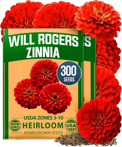 Vista 140 de Bóveda de 10 semillas de hierbas culinarias - Semillas criollas y sin transgénicos – Más de 3000 semillas para plantar en jardín de hierbas exterior