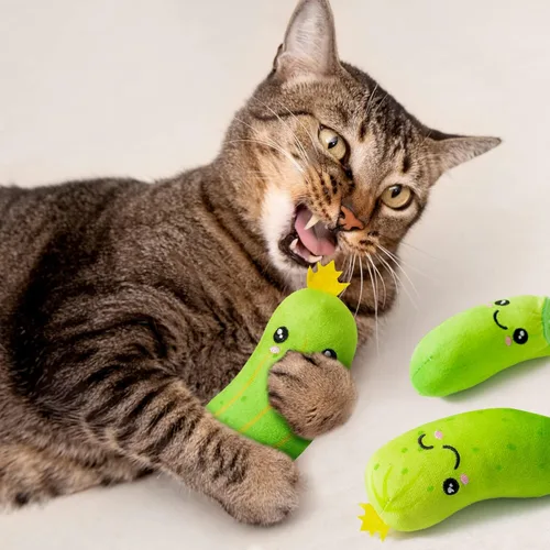 Vista 4 de MALLMALL6 Juguetes de Pepinillo y Hierba Gatera para Gatos - 5 Piezas Juguetes Interactivos de Pepinillo y Catmint para Gatos