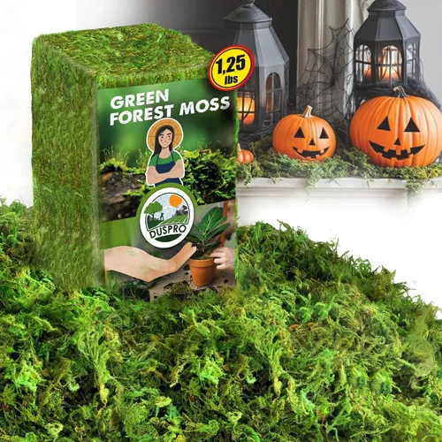 DUSPRO Musgo Verde Mejorado para Manualidades, Musgo Real de Bosque en Plantas en Maceta, Musgos Decorativos para Centros de Mesa de Boda, Navidad