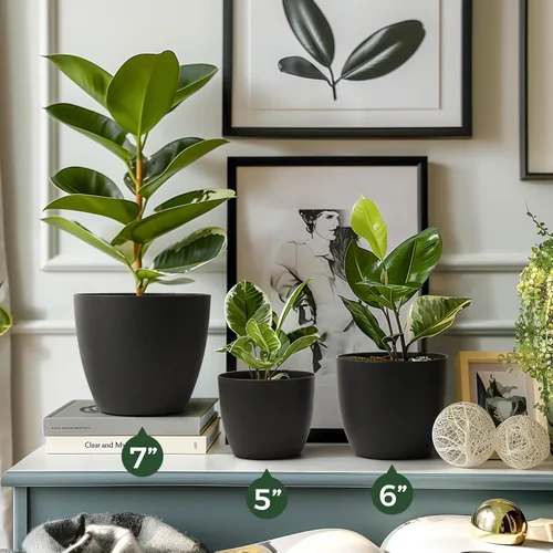 Vista 3 de T4U Macetas de Plástico de Riego Automático de 6 Pulgadas, Maceta Decorativa Moderna/Jardinera para Todas las Plantas de Casa, Flores, Hierbas, Negro