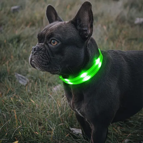 Vista 6 de BSEEN Collares para perros con luces LED brillantes, collar reflectante para cachorro, collar de perro iluminado ajustable, collar recargable