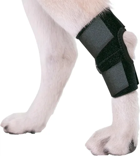 Vista 2 de Agon® Bandas para Patas de Perro para Pata Trasera, envoltura de compresión para corvejón que protege heridas y ayuda a curar las patas traseras