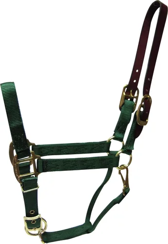 Vista 6 de Hamilton Cabestro ajustable de nailon de 1 pulgada con cabeza de cuero y broche de garganta, grande, negro