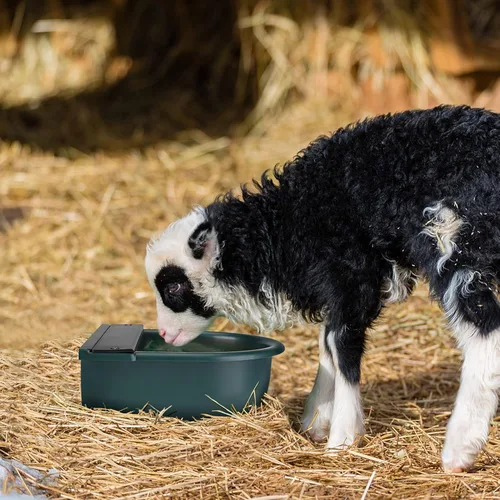 Vista 5 de GOTOTOP Bebedero automático para mascotas, capacidad 4L, para perros, gatos, cabras, caballos