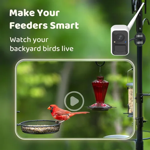Vista 2 de NETVUE de Birdfy Cámara Inteligente para Comedero de Pájaros, Soportes Ajustables, Captura Automática de Video de Aves, Notificaciones Instantáneas