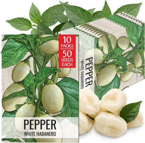 Vista 56 de Seed Needs - Semillas de pimiento arcoíris para plantar verduras, 1 paquete
