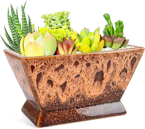 ARTKETTY Macetas para Suculentas - Maceta Grande de 7 Pulgadas con Drenaje, Macetas de Cerámica Poco Profundas para Bonsái Plantadores de Suculentas
