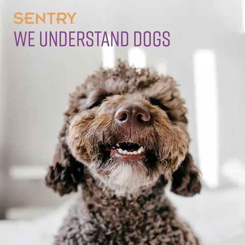 Vista 3 de Sentry Calming Chews for Dogs