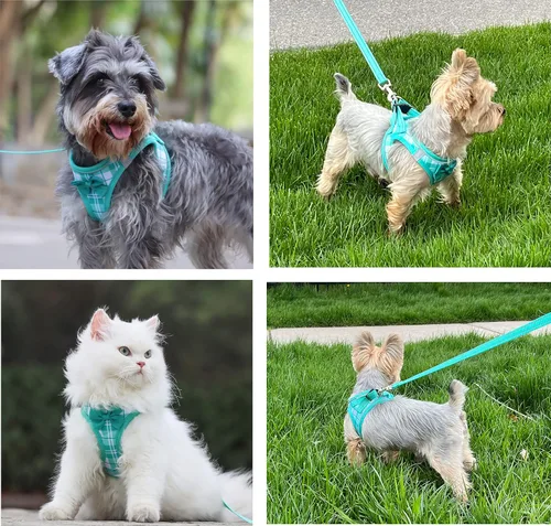 Vista 6 de Juego de arnés y correa a cuadros para perro, para perros y gatos extra pequeños a pequeños, arnés de chaleco sin tirones, a prueba de escape
