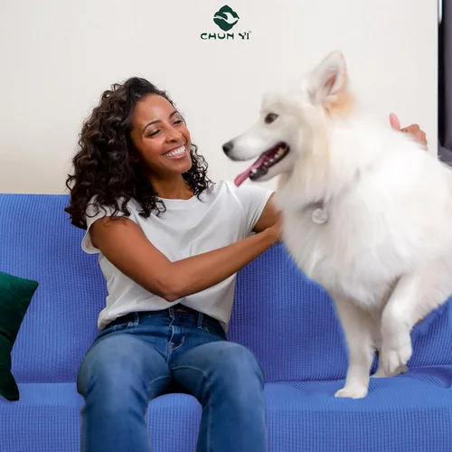 Vista 249 de CHUN YI Fundas para sofá de 7 piezas, lavables, fundas elásticas para sofá de 3 cojines con respaldo y fundas de cojín separados, protector