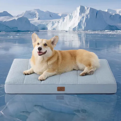 Vista 13 de Bedsure - Cama grande para perros para jaula - Camas planas y cómodas para mascotas con funda extraíble y lavable, alfombrilla ortopédica de espuma