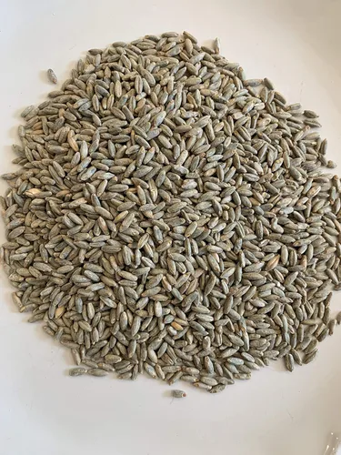 Vista 2 de North Georgia Still Company Kit de fermentación para whisky de luna, maíz, cebada malteada y centeno, kit de puré de 5 galones de bricolaje