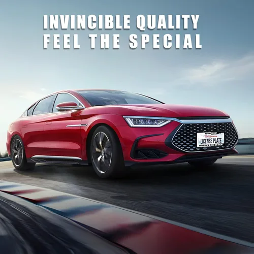 Vista 3 de Sin Problema, Ahora Tenemos Un Problema Marcos para Placa de Matrícula Graciosos Marcos para Placa de Matrícula de Acero Inoxidable Accesorios