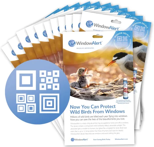 Vista 8 de WindowAlert - Calcomanías anticolisión para pájaros – Calcomanía transparente para ventana para proteger a las aves silvestres de colisiones contra