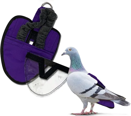 Vista 17 de Hen Holster - Pañal de bikini, pañal de pájaro y arnés para gallinas, gallo, patos, gansos, con forro de vinilo extraíble, ajuste ajustable