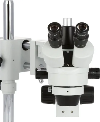Vista 6 de AmScope SM-4T-80S-M Microscopio Digital Profesional Trinocular Estéreo Zoom, WH10x Oculares, Aumento 7X-45X, Objetivo de Zoom 0.7X-4.5X, Anillo
