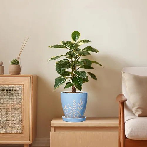 Vista 3 de Maceta de cerámica de 6 pulgadas con platillo - Maceta pequeña para flores con drenaje para suculentas y hierbas, decoración de escritorio boho