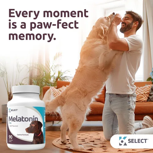 Vista 5 de K9 Select Melatonina para perros 6 mg, 90 comprimidos masticables con sabor a carne Melatonina para razas de perros pequeños a grandes Momentos