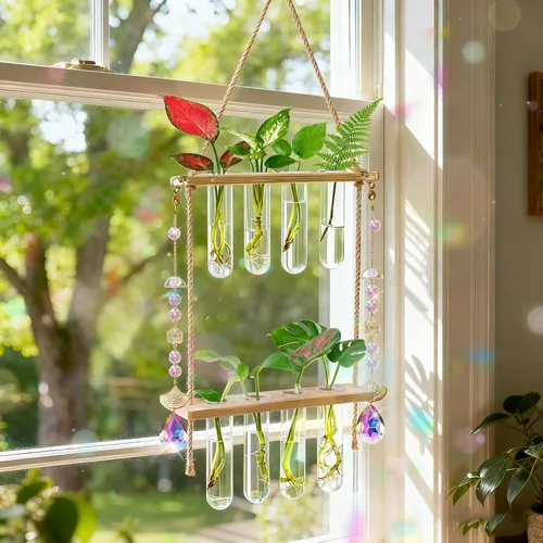 Estaciones de propagación colgantes con atrapasoles de cristal, macetas de pared de vidrio para plantas de interior, hidroponía, soporte de madera