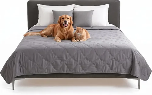 Vista 14 de Furhaven Funda Protectora de Colchón Impermeable y Antideslizante Tamaño Queen para Perros y Gatos, Lavable, Para Camas, Sofás y Asientos