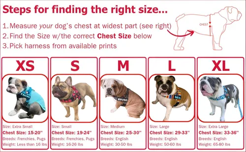 Vista 4 de BULLHUG Arnés ajustable para perro, sin tirones, sin estrangulamiento, para bulldogs ingleses, bulldogs franceses, pugs y razas de pecho ancho