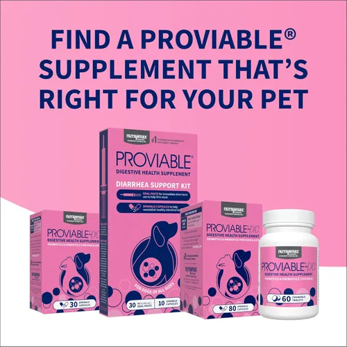 Vista 10 de Nutramax Proviable Probióticos para Perros y Gatos, Suplemento Diario para la Salud Digestiva con Múltiples Cepas de Bacterias, Probióticos