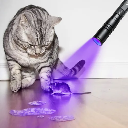 Vista 7 de Linterna UV 395nm Zoomable Batería de luz negra recargable Linterna ultravioleta de la pluma,IP54 impermeable,Detector de orina de mascotas,Manchas