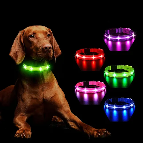 Vista 9 de MASBRILL Collar de perro con luz RGB, collar de perro iluminado con luces LED intermitentes, recargable, resistente al agua, collar de perro que
