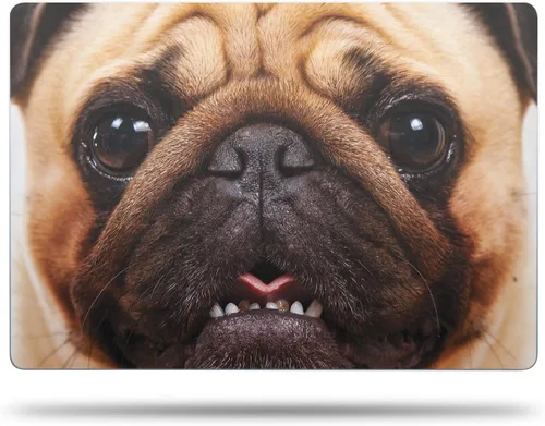 Vista 69 de MightySkins - Funda de fibra de carbono compatible con Apple MacBook Air de 15 pulgadas M2 (2023), kit de envoltura completa, resorte prismático