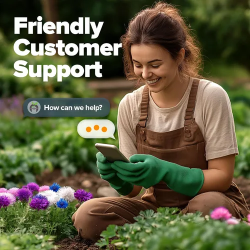 Vista 7 de HOME GROWN Bachelor Button Flower Seeds Tall Mix 700+ Semillas tradicionales de aciano para plantar, floración rápida, sin OMG, aptas