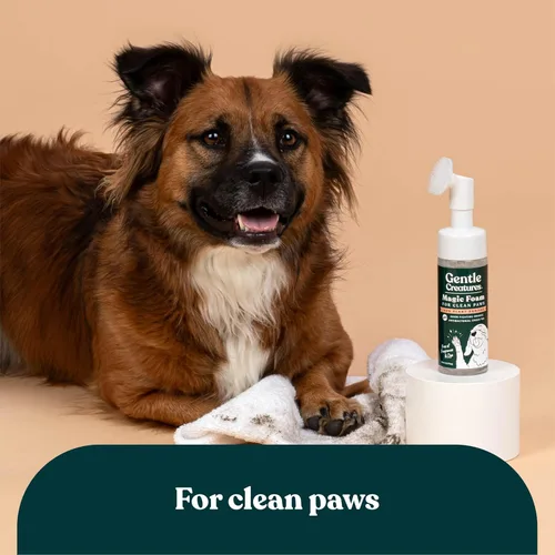 Vista 7 de Gentle Creatures - Magic Foam - Relleno - Champú en espuma sin sulfato, sin agua, limpiador de patas para perros, gatos, mascotas - Champú seco