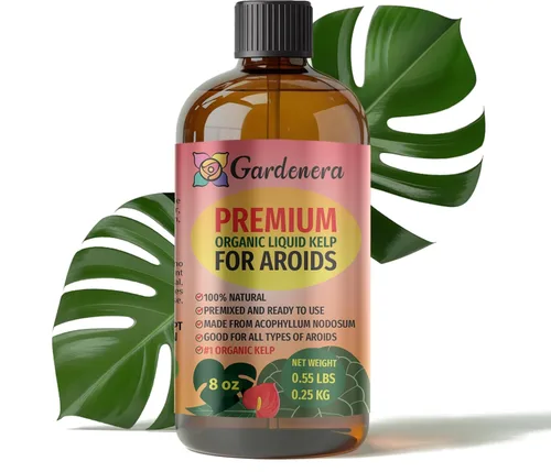 Vista 100 de GARDENERA Superalimento orgánico prémium de algas marinas y algas marinas para plantas AGLAONEMA, 8 onzas, concentrado de fertilizante líquido