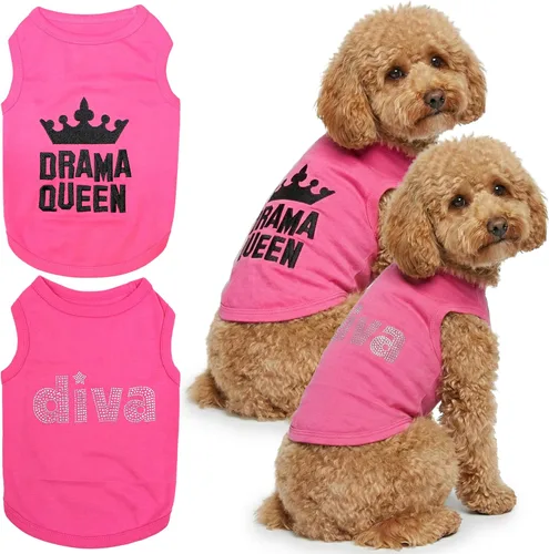 Vista 10 de Parisian Pet - Camiseta bordada para perros y gatos, con texto en inglés Bad to da Bone, XS