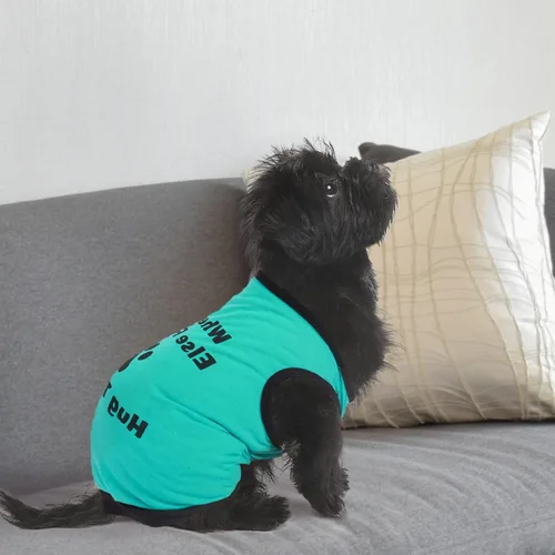 Vista 5 de 6 piezas camisas para perros pequeños y medianos, chaleco transpirable estampado para mascotas, ropa de verano para perro, camiseta suave para Azul