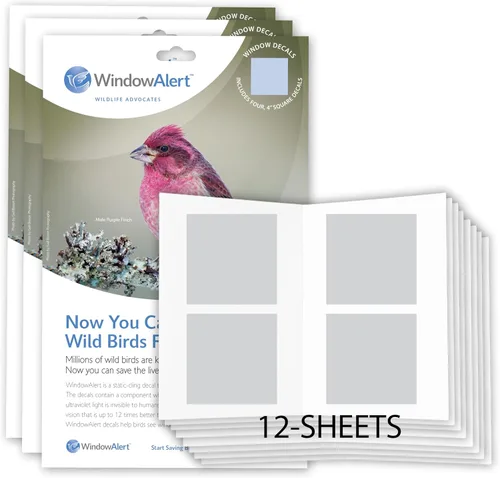 Vista 11 de WindowAlert - Calcomanías anticolisión para pájaros – Calcomanía transparente para ventana para proteger a las aves silvestres de colisiones contra