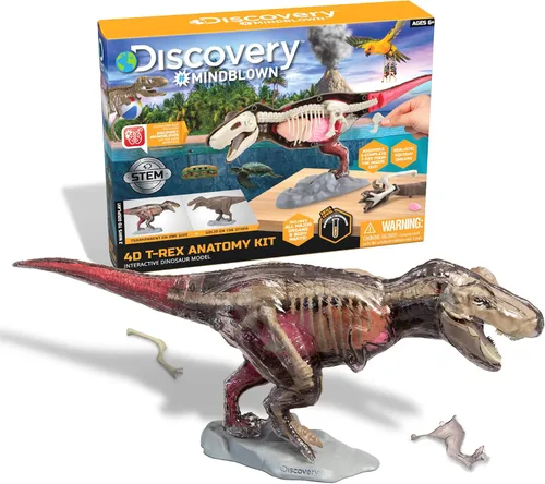 Discovery Kit de anatomía T-Rex 4D, figura de rompecabezas de dinosaurio jurásico, modelo interactivo de arqueología y paleontología, aprende