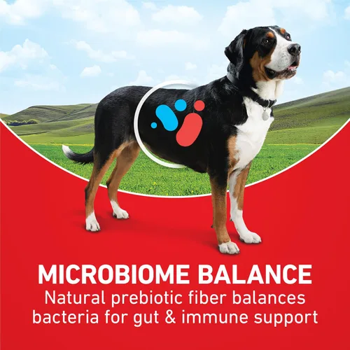 Vista 12 de Purina ONE Comida seca para perros con fórmula de cordero y arroz, bolsa de 16.5 libras