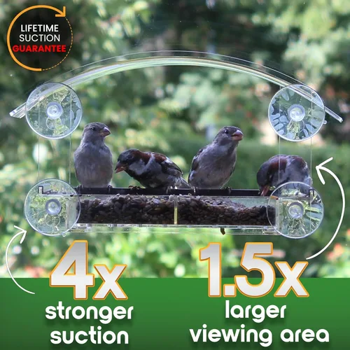 Vista 3 de Comedero para pájaros con ventosas fuertes, modelo 2026, ventana de acrílico transparente para gatos, casa de pájaros, regalo