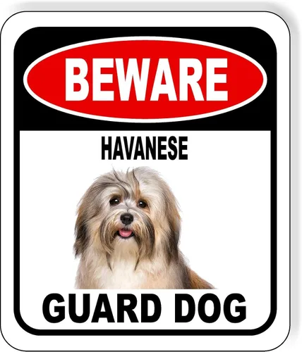 Vista 110 de BEWARE BASSETT HOUND GUARD DOG - Letrero compuesto de aluminio para exteriores, 8.5 x 10 pulgadas