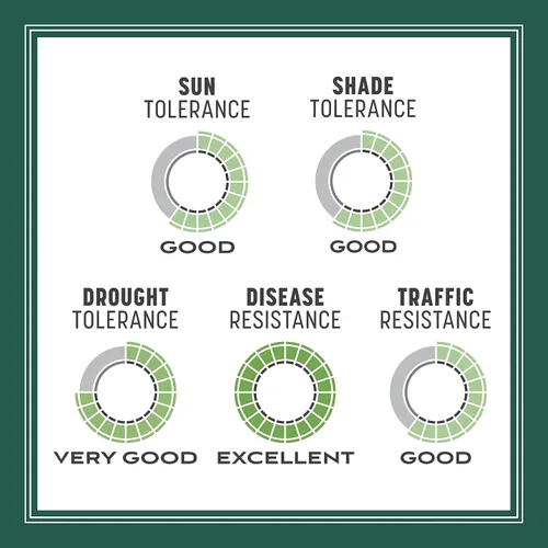 Vista 9 de Pennington Smart Seed Sol y Sombra Mezcla de Semillas de Césped Festuca Alta para Céspedes del Sur 3 lb