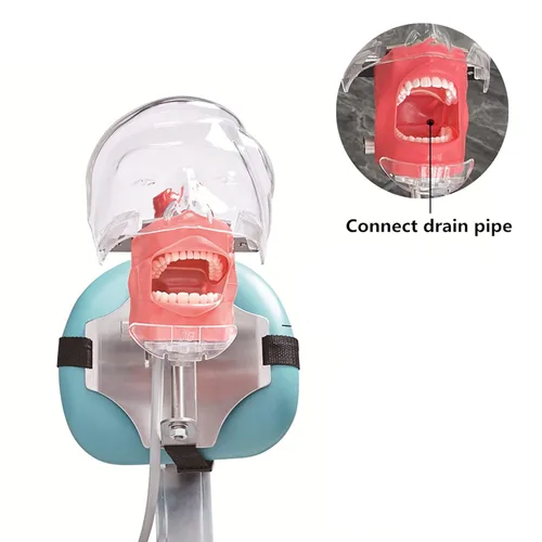Vista 7 de Máscara de silicona para práctica de modelo dental, modelo de dientes YOUYA DENTAL para simulación de entrenamiento de técnicos dentales, modelos