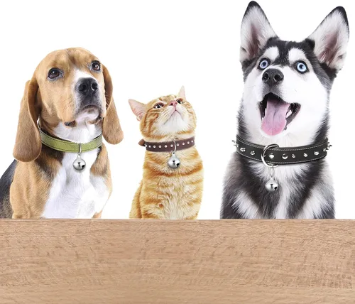 Vista 6 de Hotop 8 campanas de collar para perros pequeños y gatos, collar para cachorros, anillo colgante para decoración de mascotas, rastreador de mascotas