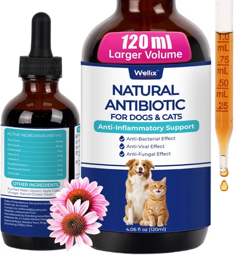 Wellix Antibióticos naturales de 4.1 fl oz para gatos y perros, suplemento herbario natural para el cuidado de heridas, infecciones urinarias,