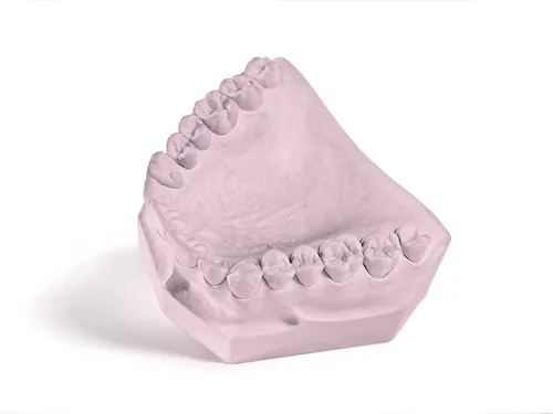 1285025 Dental Express - Juego de troqueles tipo IV, caja de cartón de 25 libras, color rosa