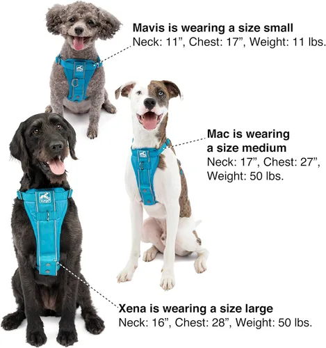 Vista 5 de Kurgo Tru-Fit - Arnés inteligente para caminar para perros, ajuste cómodo, arnés ajustable, reflectante para mascotas, liberación rápida