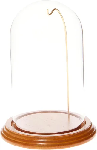 Vista 5 de Plymor Cúpula de exhibición de cristal de reloj/adorno de 4 "x 7