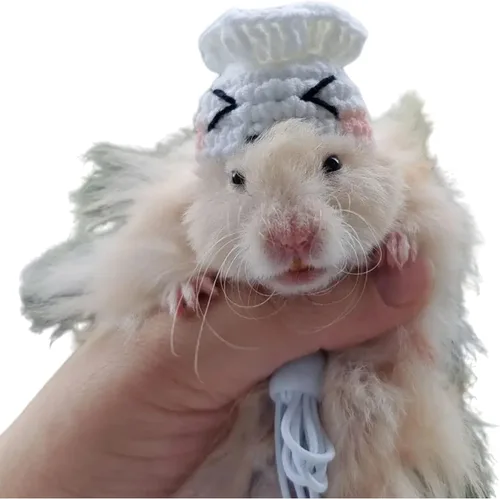 Vista 20 de Sombrero de hámster, mini animales pequeños con correa ajustable, encantadores sombreros pequeños de punto a mano para lagarto, conejillo de indias